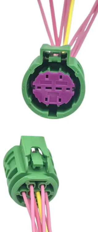 FLOR-01484