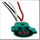 FLOR-02023