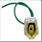FLOR-02093