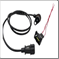 FLOR-02268