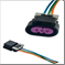 FLOR-00586