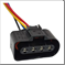 FLOR-00869
