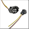 FLOR-00925