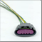 FLOR-01131