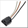 FLOR-01350