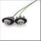 FLOR-01504