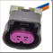 FLOR-01529