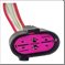 FLOR-01579