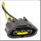 FLOR-01611