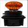 FLOR-01880